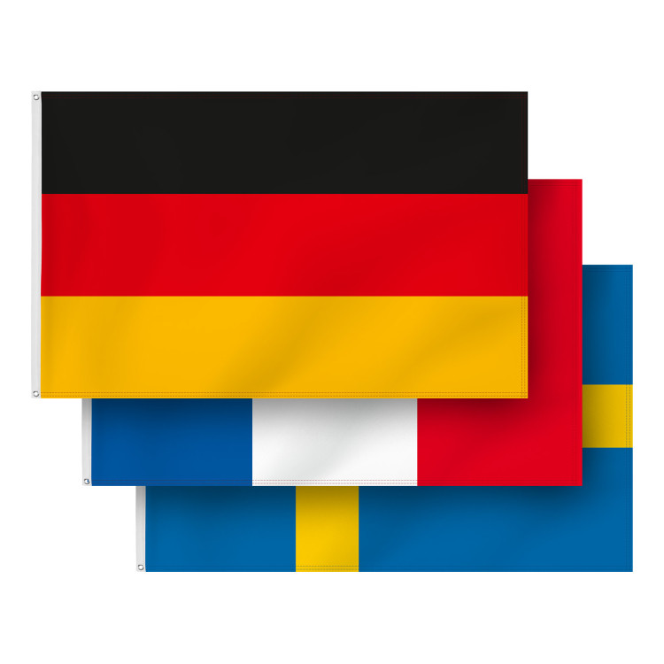 Deutschlandfahne am Stab - ca. 30 x 46 cm - mit 60 cm Kunststoffstab